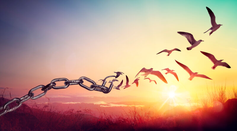 Freedom,-,Chains,That,Transform,Into,Birds,-,Charge,Concept